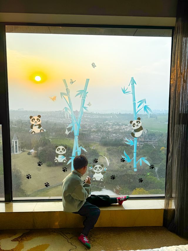 成都睇熊貓必住！同大熊貓做鄰居係咩感受？