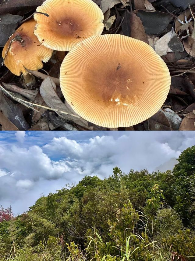 在海南，這個地方絕美