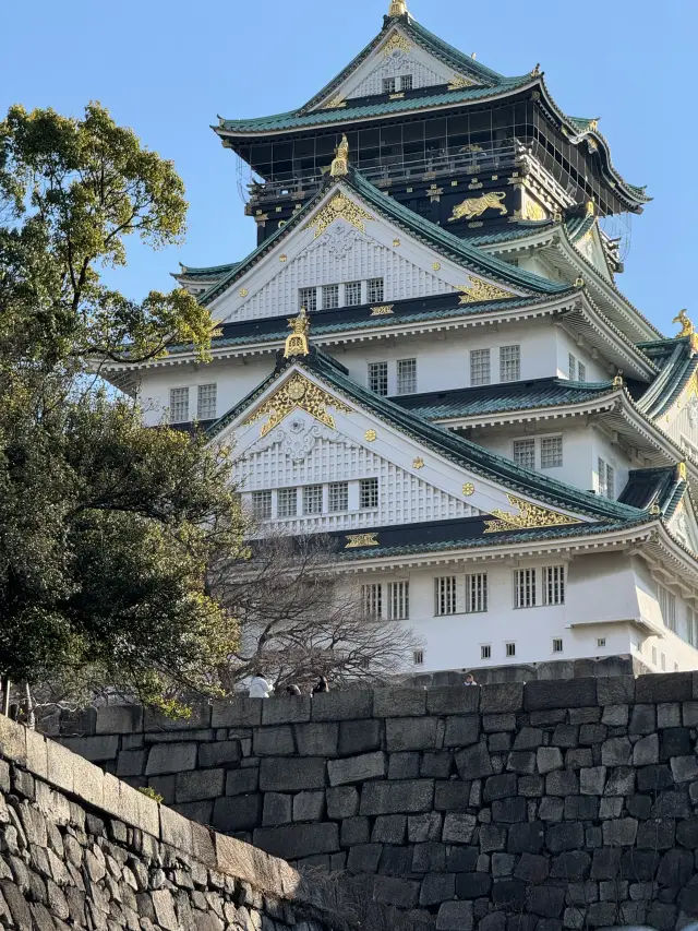 大阪觀光船一日遊：水上的浪漫與歷史🚤🌉