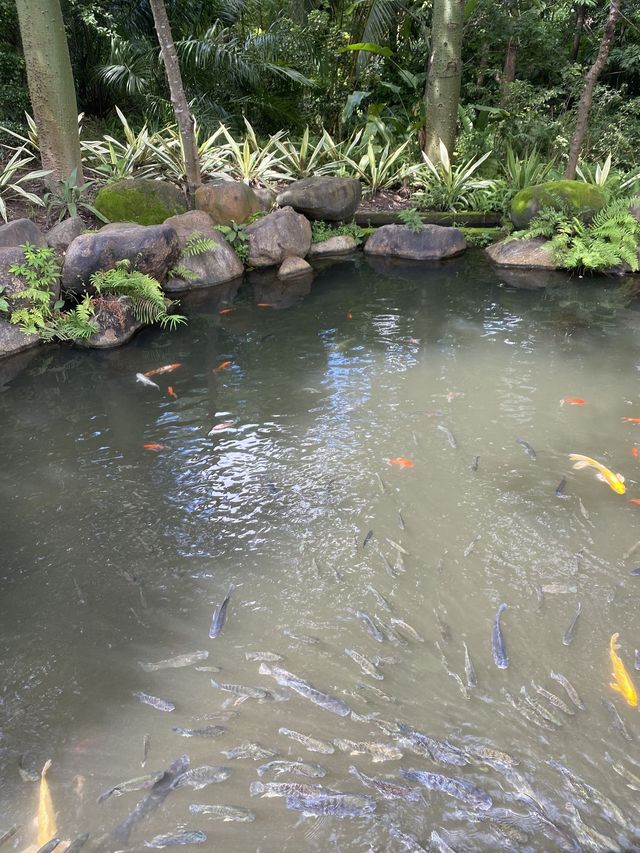 西雙版納-普洱5日遊 超詳細攻略來襲趕快收藏