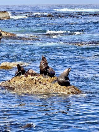 8-Day In-Depth South Africa Tour: The Ultimate Guide
