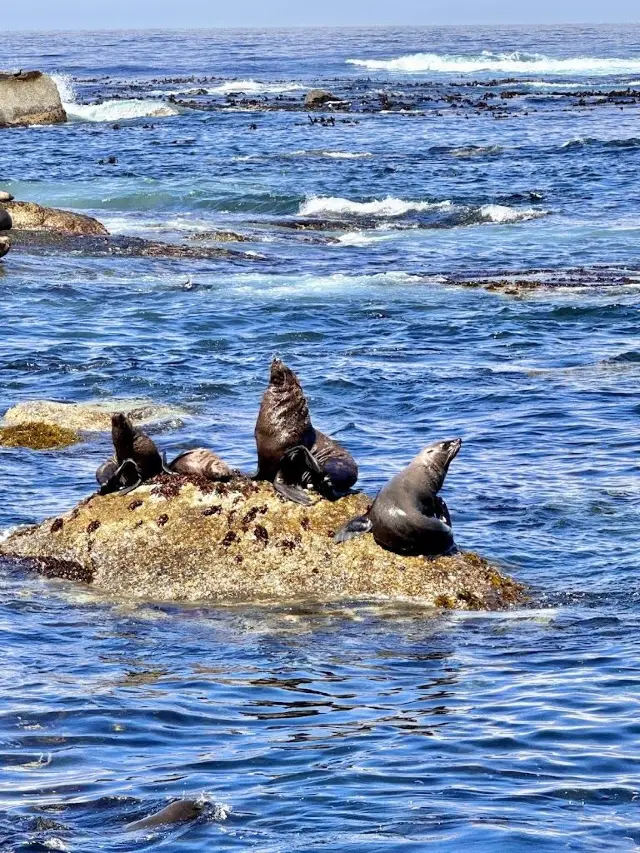 ทริปแอฟริกาใต้ 8 วัน เก็บข้อมูลครบ จัดเต็ม