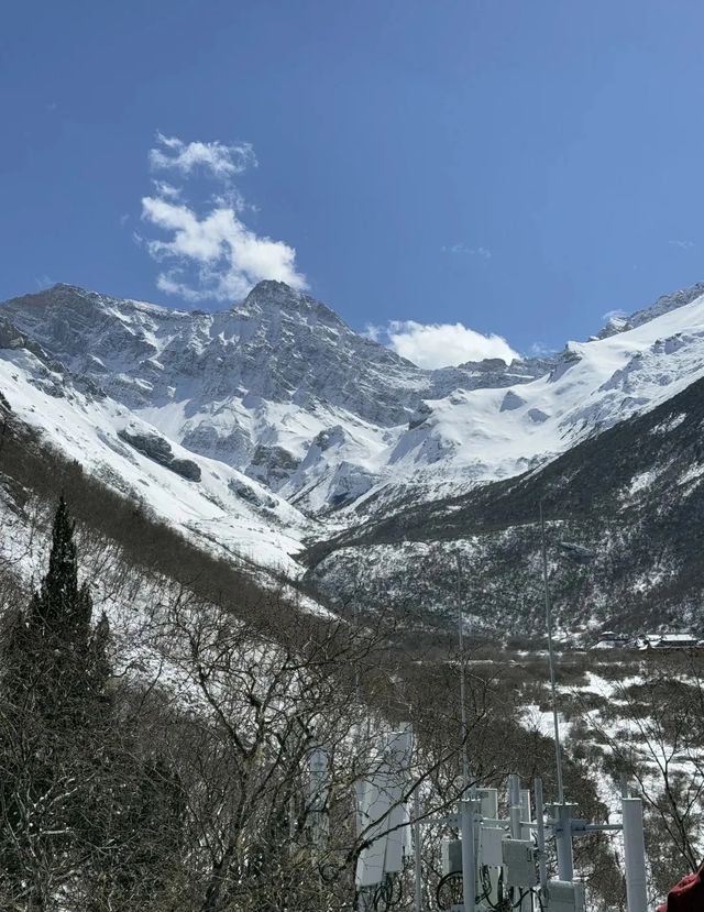 黃龍實況 乾了這瓶氧氣icon再說