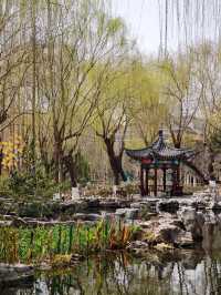 《泉韻龍潭覓清幽——濟南五龍潭公園散記》