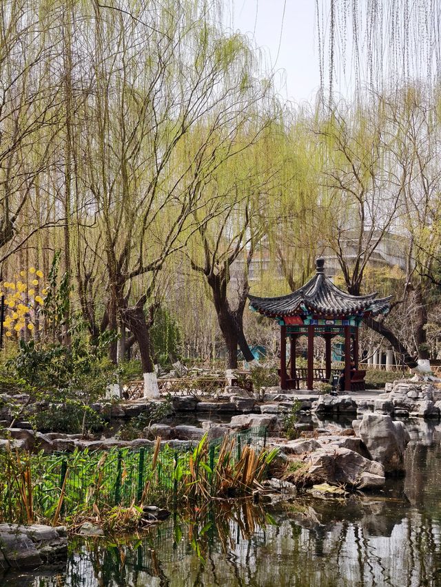 《泉韻龍潭覓清幽——濟南五龍潭公園散記》