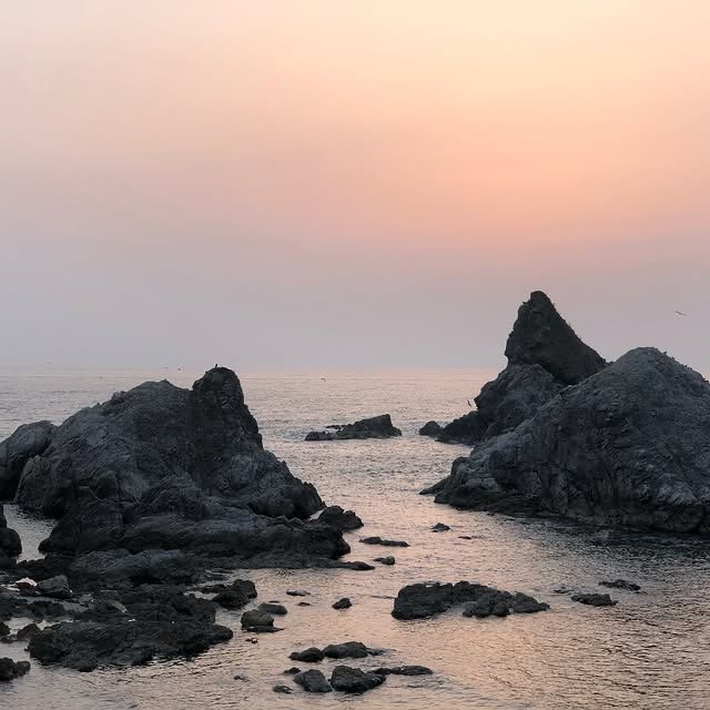 新潟｜笹川流海岸—日本版「大洋路」，藏住最靚嘅海岸線！