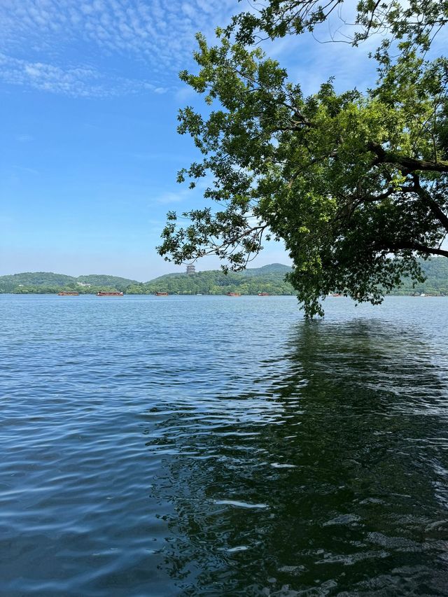 嘉興-杭州4日遊 玩轉雙城不留遺憾超詳細攻略來襲