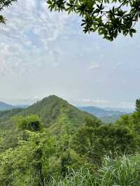綠意盎然的心靈樂土