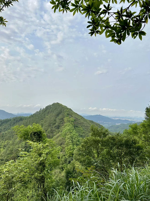 綠意盎然的心靈樂土