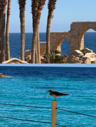 Egypt is calling all sea lovers! You'll be speechless!