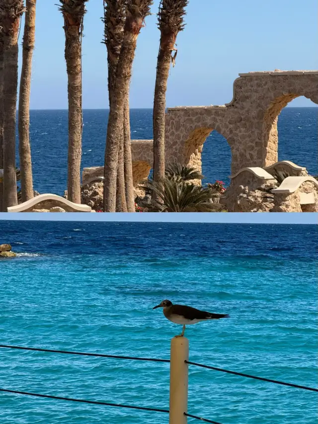 Egypt is calling all sea lovers! You'll be speechless!