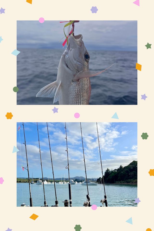 奔赴聖地牙哥：解鎖海釣盛宴，邂逅舌尖與視覺。