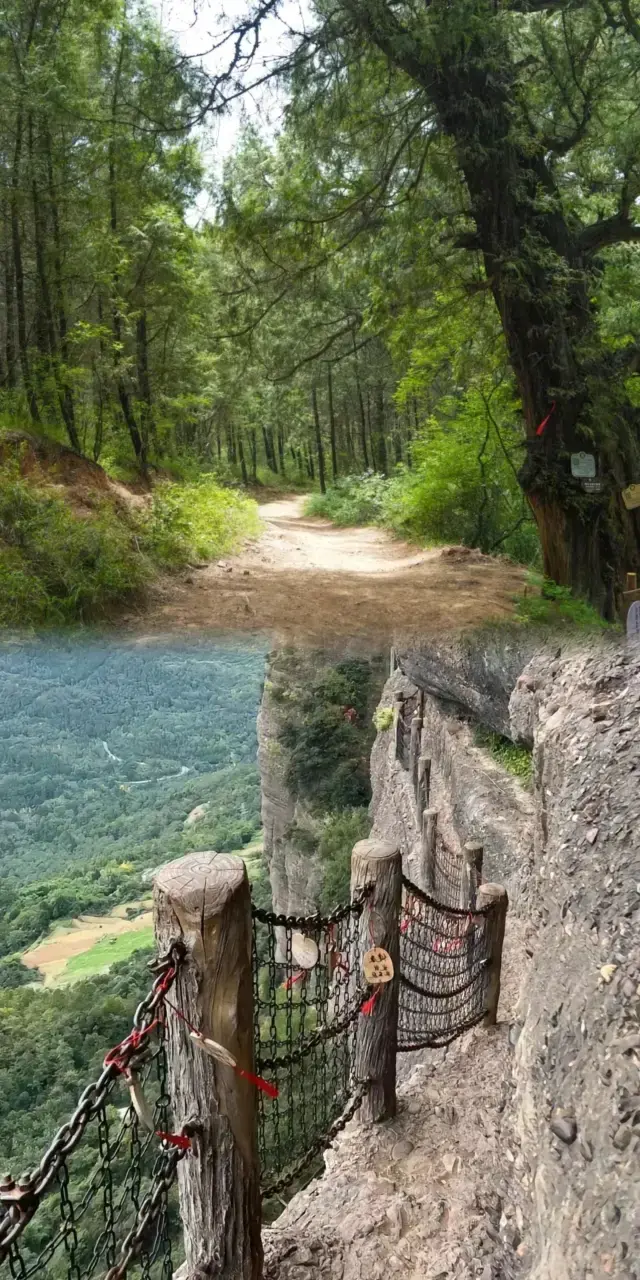 2천 년 역사의 고대 오솔길과 현실 속 신비로운 숲을 탐험해 보세요.