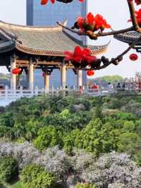清明節短假期·3日輕鬆旅行指南