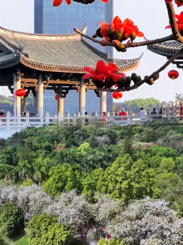 清明節短假期·3日輕鬆旅行指南