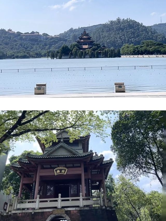 順德受罪已回，真不建議4月去