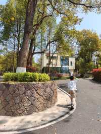 入住安吉嘉樂比度假·湯泉酒店的真實感受