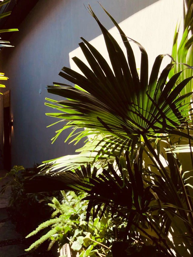 這間酒店,我給100分! 這間酒店,我給100分!