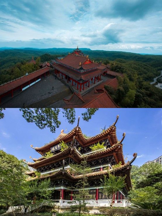宜賓自駕天花板｜闖入蜀南竹海的綠野仙蹤