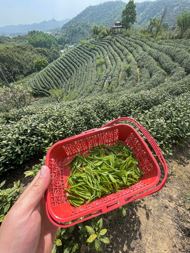 這裡哪是酒店啊？簡直就是孩子度假的天堂！