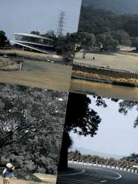 春天就要上春山 | 深圳1站地鐵暢玩4個寶藏地