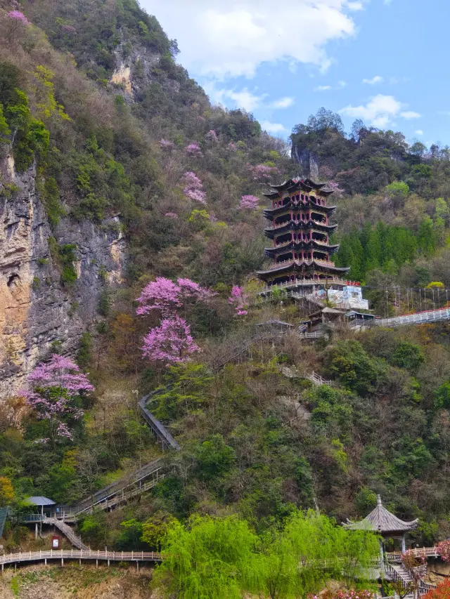 遊客很少山花爛漫的小眾景點