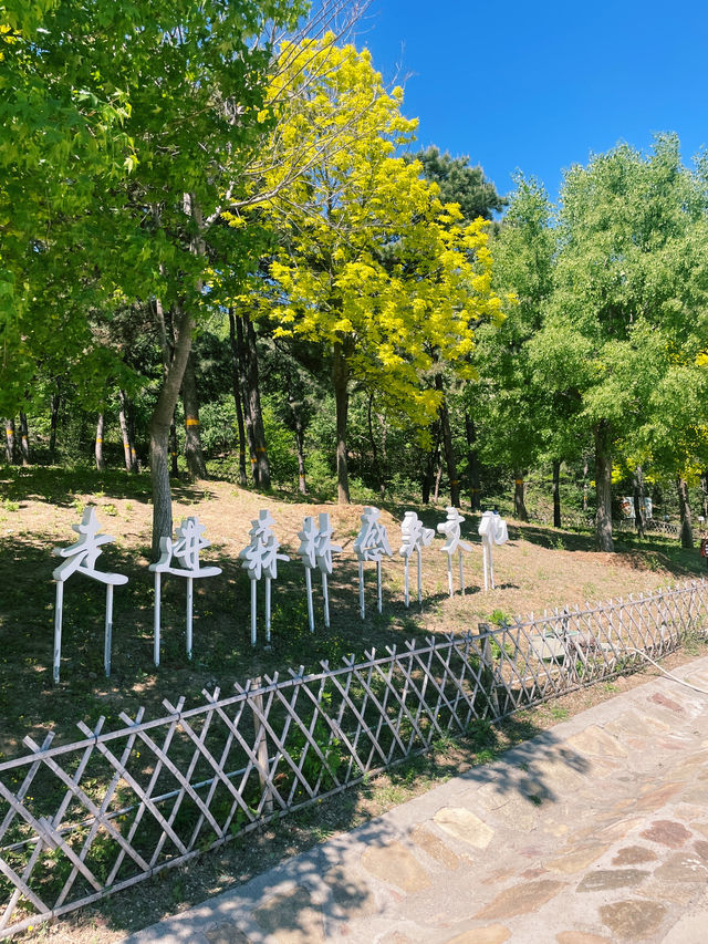  Xishan National Forest Park – Beijing