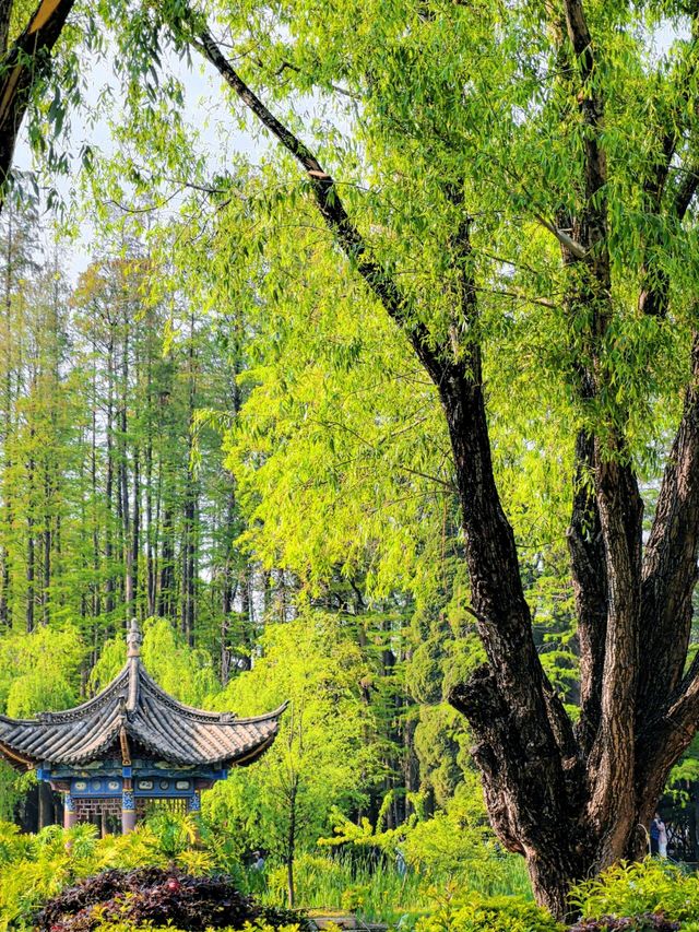 昆明翠湖麗瑞德酒店——西華園