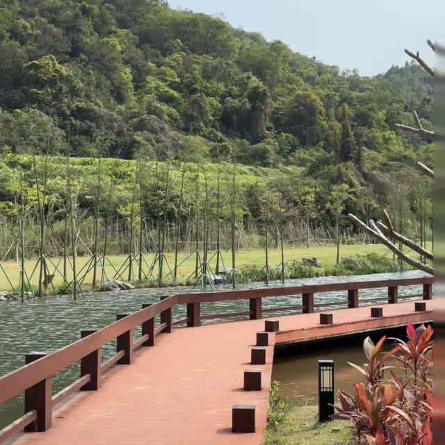 在中山！！假期來金鐘湖公園吸吸氧😌