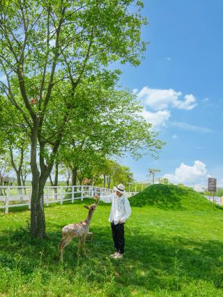난징 출발 1시간 거리! 너무나 멋진 숨겨진 비경
