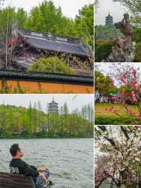西湖嘅桃花美景，承包成個春天嘅粉紅邂逅
