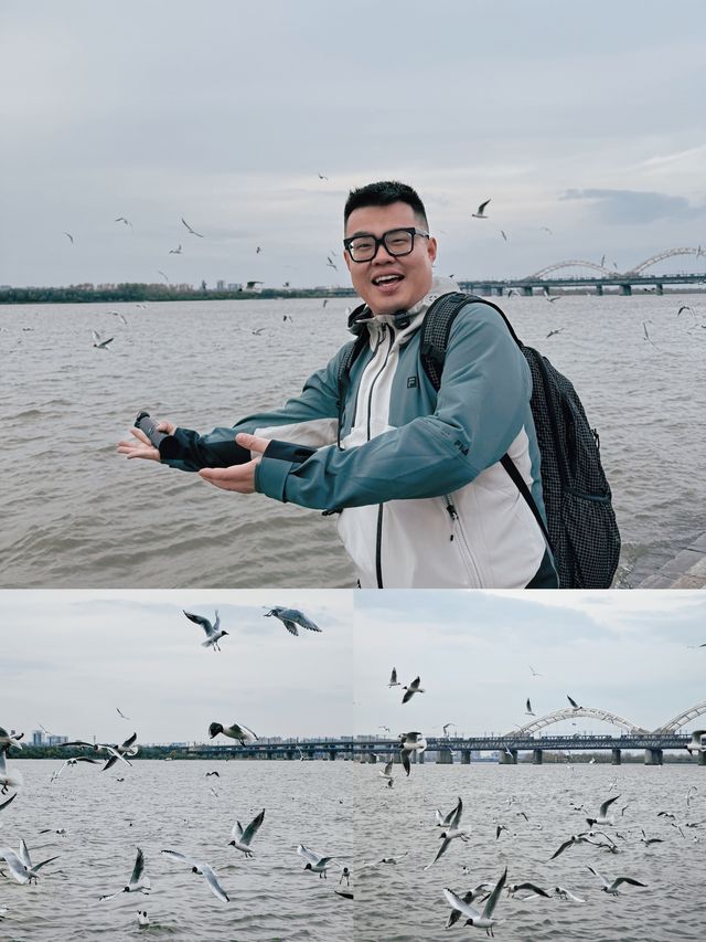 一篇筆記讀懂哈爾濱的優雅與浪漫附詳細旅行攻略