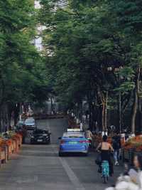 雲南嘅春天裏面藏咗一萬次嘅春和景明