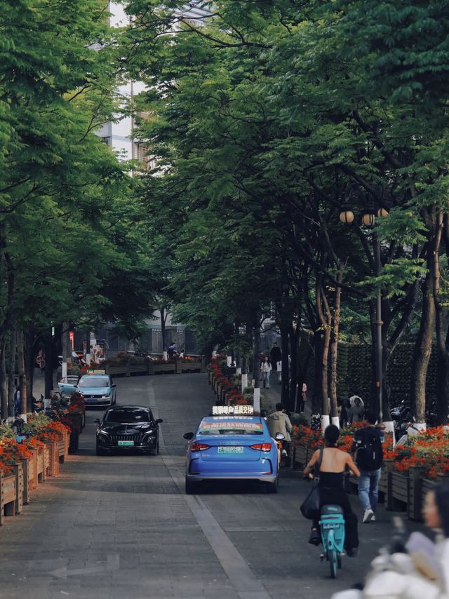 雲南嘅春天裏面藏咗一萬次嘅春和景明