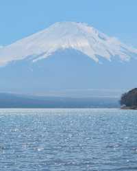 富士山一日遊，東京出發，山中湖河口湖