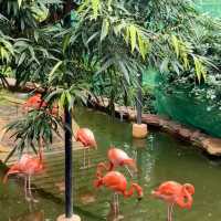 香港動植物公園深度遊｜鬧市綠洲的慢時光探索之旅