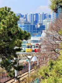 釜山嘅櫻花季就係人間理想