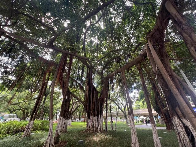 廣州沙面島悠閒Walk