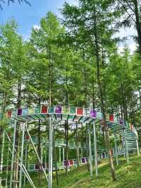 瀋陽周邊遊|搵到通往杜鵑花海嘅山間小路