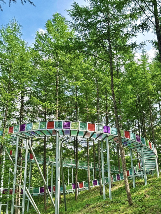 瀋陽周邊遊|搵到通往杜鵑花海嘅山間小路