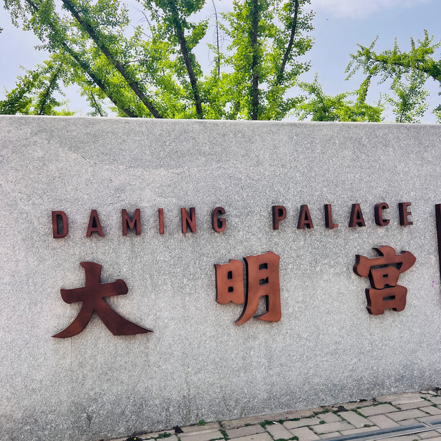 Daming Palace: Peonies and more 🌼 