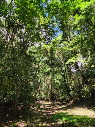 A Day Trip to Gaolu Mountain