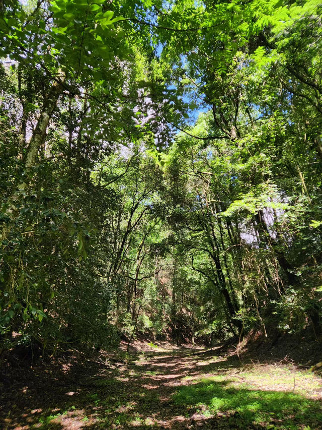 高魯山一日遊