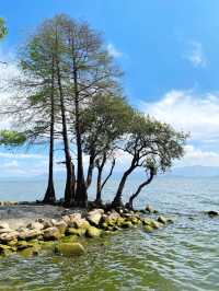 洱海！雲南必打卡之地！浪漫風景美如畫！