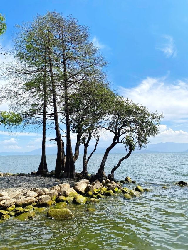 洱海！雲南必打卡之地！浪漫風景美如畫！