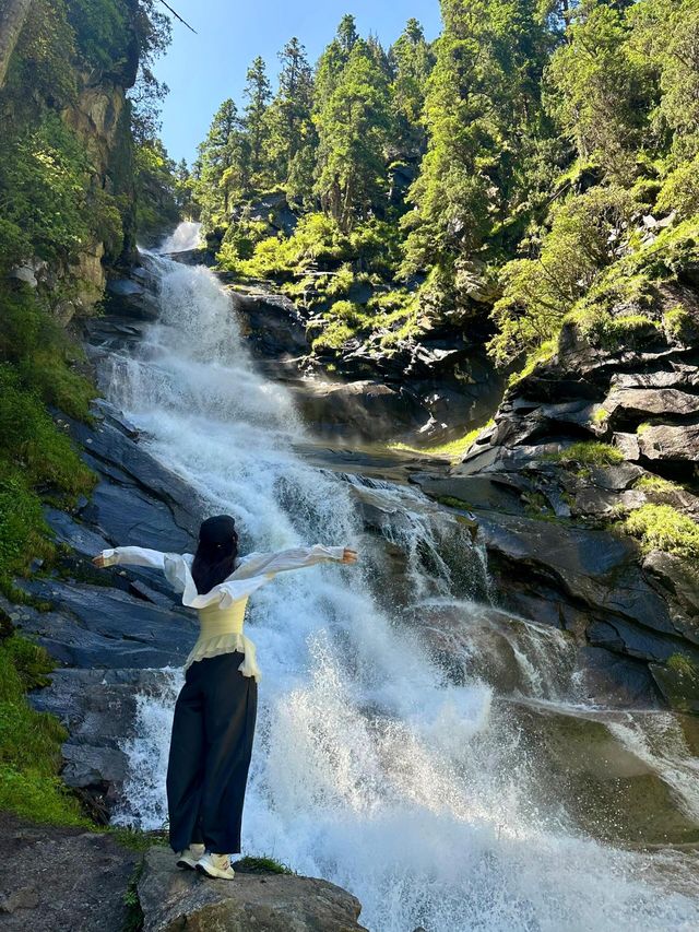 畢棚溝夏日仙境！雪山花海靚到窒息！