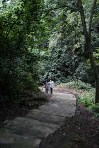 香積寺探幽 | 合谷山居專屬行山體驗
