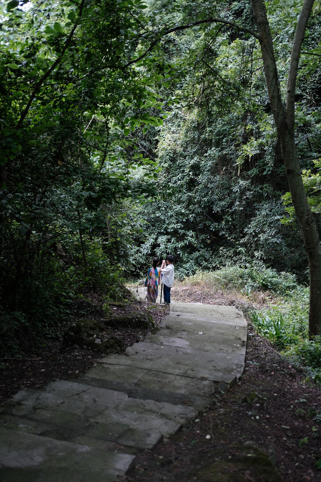 香積寺探幽 | 合谷山居專屬行山體驗