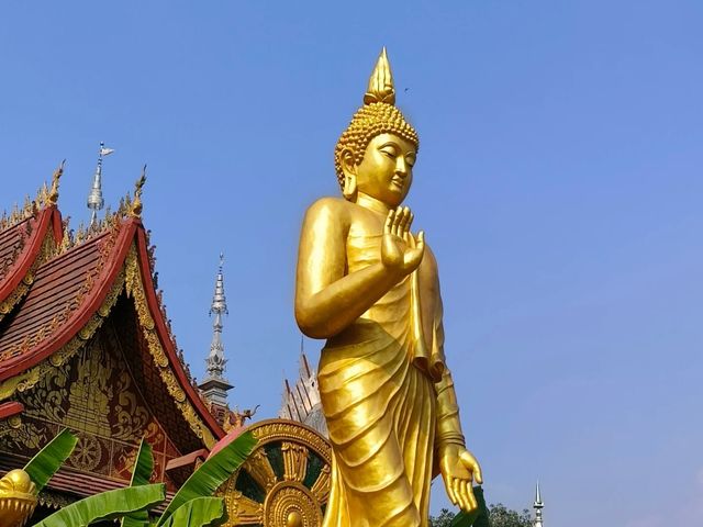 總佛寺夜話：在西雙版納修一場煙火氣十足的「入世禪
