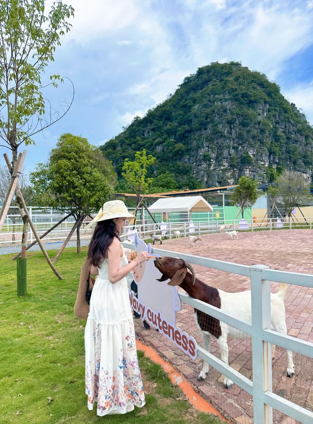 桂海晴嵐畢業季一齊嚟狂歡呢個夏天